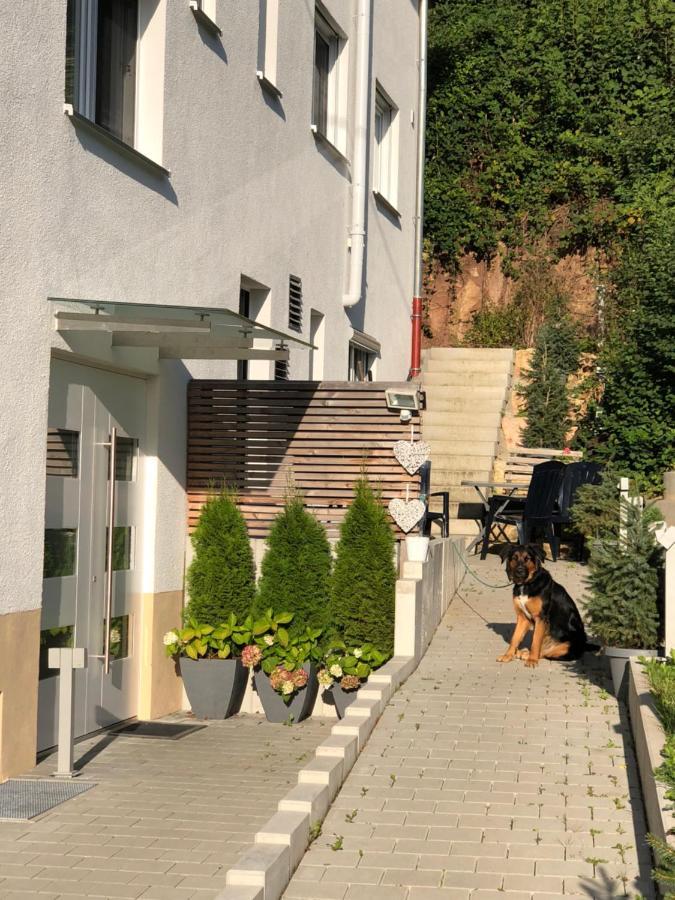 Ferienwohnungen Lamisto Am Waldesrand Neckartenzlingen Zewnętrze zdjęcie
